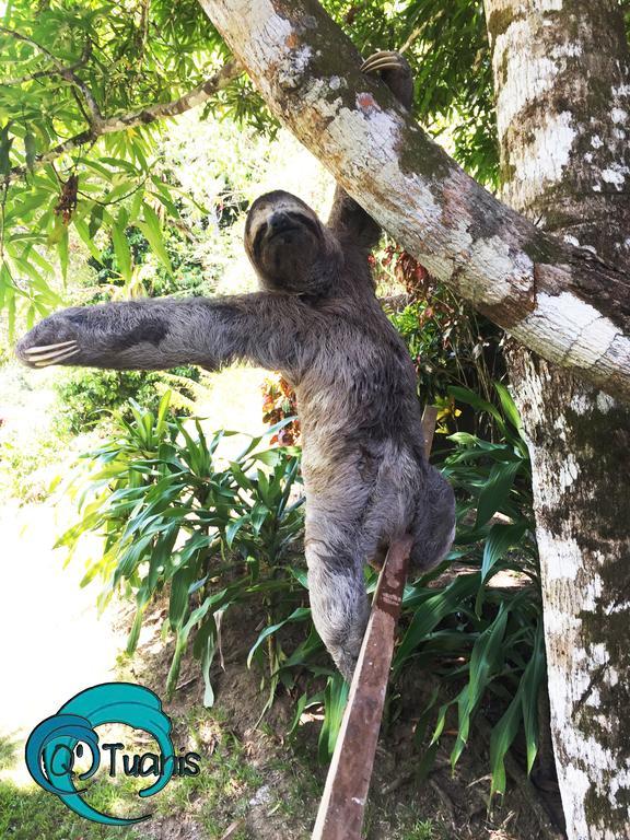 Manuel Antonio Hostel Resort Dış mekan fotoğraf